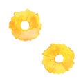 A couple of pineapple rings. Topping for pizza or dessert. Isolated watercolor illustration on white background for Royalty Free Stock Photo