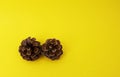 A couple of pinecones on yellow background Royalty Free Stock Photo