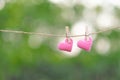 Couple pink heart shape decoration hanging on line with copy space for text on green nature background. Love, Wedding Romantic and Royalty Free Stock Photo