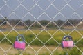 Couple pink padlock Royalty Free Stock Photo