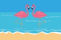 Couple pink tropical flamingos on the beach in the water Royalty Free Stock Photo