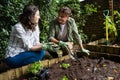 Couple planting young plant into the soil