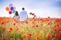 Couple poppies field Royalty Free Stock Photo
