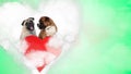 Couple of pug and boxer in heart shape