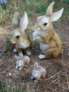 Couple of rabbits and their young easter bunnies resting in a garden.