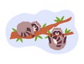 Couple of raccoons playing and sleeping on tree branches, cartoon flat vector illustration isolated on white background. Royalty Free Stock Photo