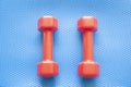 Couple of red fitness dumbbells rest on a blue gymnasium mat with copy space for your text Royalty Free Stock Photo