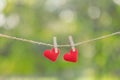 Couple Red heart shape decoration hanging on line with copy space for text on green nature background. Love, Wedding Romantic and Royalty Free Stock Photo