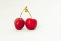 Two juicy berries of a red cherry on a white fabric background Royalty Free Stock Photo