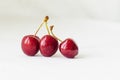 Three juicy berries of a red cherry on a white fabric background Royalty Free Stock Photo