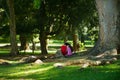 Couple relax at the palm trees alley in the Peradeniya Royal Botanical Garden in Kandy, Sri Lanka.