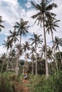 Couple relaxing in palm trees and road in the kohkood ,Thailand Royalty Free Stock Photo