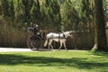 Couple riding a buggy in a garden