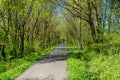 Couple riding bikes on the Tarka Trail in Devon Royalty Free Stock Photo