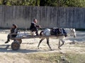 Couple riding a horse and cart in village