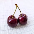 Couple ripe cherry fruits. Dark red berries with water drop on the white linen tablecloth. Royalty Free Stock Photo