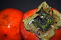 Couple of ripe persimons macro on dark background Royalty Free Stock Photo