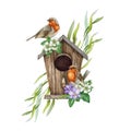 Couple of robin birds on a birdhouse with floral decor. Watercolor painted illustration. Springtime cozy decorative