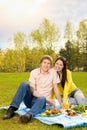 Couple at romantic picnic Royalty Free Stock Photo