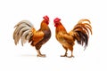 Couple of roosters standing next to each other on white background. Generative AI