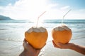 Couple`s Hand Holding Coconut In Front Of Idyllic Sea Royalty Free Stock Photo
