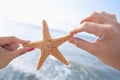 Couple`s hands holding starfish at the beach Royalty Free Stock Photo