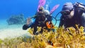 Couple of scuba divers on the sandy bottom watching beautiful clown fish