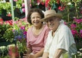 Couple Selecting Flowers In Nursery Royalty Free Stock Photo