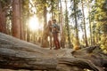 Couple in Sequoia national park in California, USA Royalty Free Stock Photo