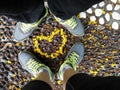 Couple shoes with yellow flower in love shape