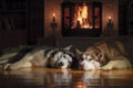 Couple Siberian huskies are lying in front of warm fireplace with burning wood. Cozy winter night