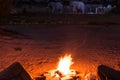 Couple sitting at burning camp fire in the night. Camping in the desert with wild elephants in background. Summer adventures and e