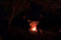 Couple sitting at burning camp fire in the night. Camping in the forest under starry sky, Namibia, Africa. Summer adventures and e Royalty Free Stock Photo