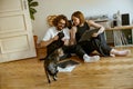 Couple sitting on floor and stroking cats while listening music on vinyl player with records Royalty Free Stock Photo