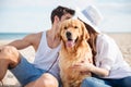 Couple sitting and hiding behind the dog on the beach Royalty Free Stock Photo