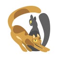 Couple of Smooth Coated Cat in Love Fawning and Cuddling Vector Illustration