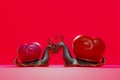 a couple of snails falling in love on a pink studio background with valentine`s day season theme Royalty Free Stock Photo