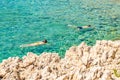 A couple snorkeling in the crystal clear rocky Adriatic sea Royalty Free Stock Photo