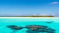 Couple snorkeling in turquoise clear water with coral reefs, South Pacific Ocean with Island, Aitutaki, Cook Islands Royalty Free Stock Photo