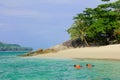 The couple snorkelling are diving in seashore in Lipe Island in Andaman sea with  blue sky background in summer Royalty Free Stock Photo