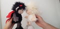 a couple of soft toys designed as boy and girl angel and satan going to kiss