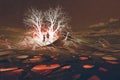 The couple standing in front of glowing trees