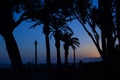 A couple standing on a promenade in a late evening surrounded wi