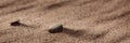 Couple of stones naturally located on windy sandy beach close up. Summer background.