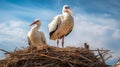 Couple of storks in the nest. Generative AI.