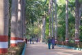 A couple strolling in a park alley near Karanji Lake