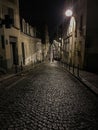 A couple strolls in the distance down a cobbled Paris street at night