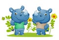 The couple of the strong rhino showing the muscle and doing sport in the garden