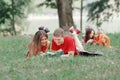 Couple of students lying on the grass in the Park and reading a book Royalty Free Stock Photo