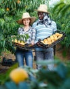 Couple of successful farmers holding plastic boxes with ripe peaches